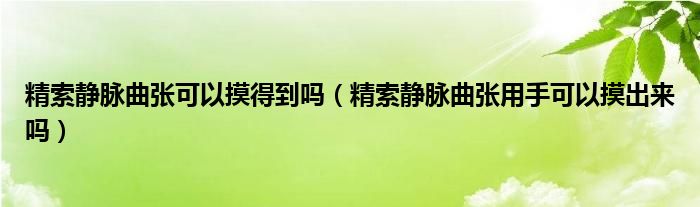 精索静脉曲张可以摸得到吗（精索静脉曲张用手可以摸出来吗）