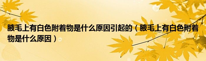 腋毛上有白色附着物是什么原因引起的（腋毛上有白色附着物是什么原因）