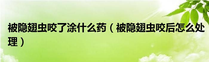 被隐翅虫咬了涂什么药（被隐翅虫咬后怎么处理）