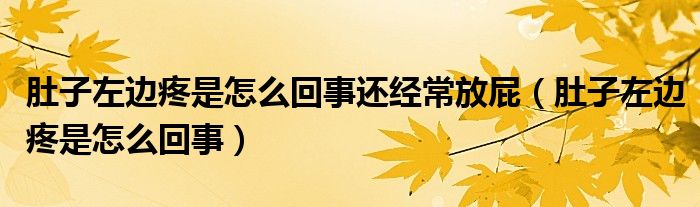 肚子左边疼是怎么回事还经常放屁（肚子左边疼是怎么回事）