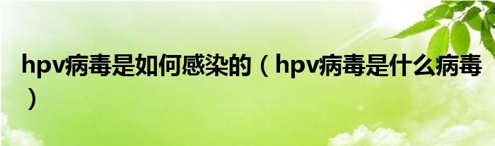 hpv病毒是如何感染的（hpv病毒是什么病毒）