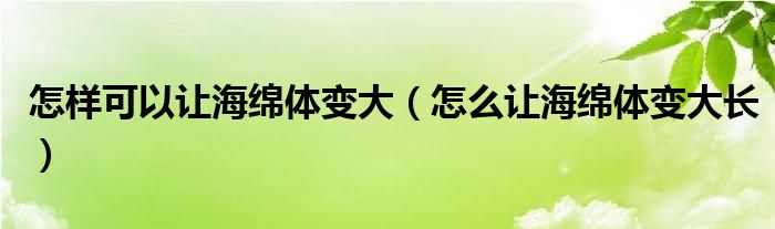 怎样可以让海绵体变大（怎么让海绵体变大长）