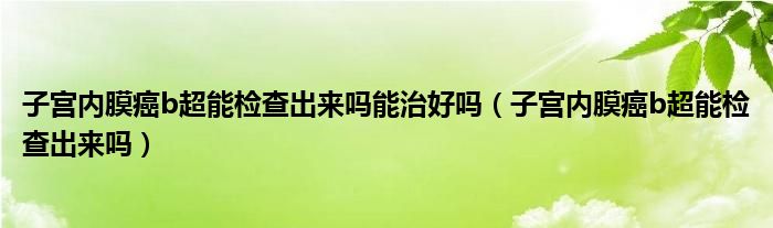 子宫内膜癌b超能检查出来吗能治好吗（子宫内膜癌b超能检查出来吗）