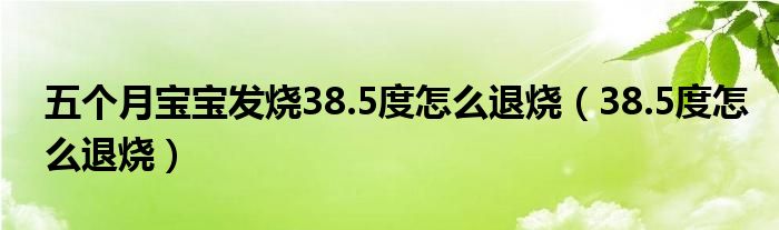 五个月宝宝发烧38.5度怎么退烧（38.5度怎么退烧）