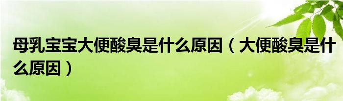 母乳宝宝大便酸臭是什么原因（大便酸臭是什么原因）