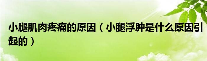 小腿肌肉疼痛的原因（小腿浮肿是什么原因引起的）