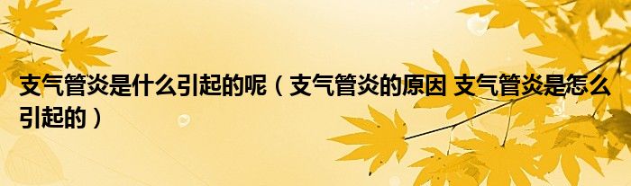 支气管炎是什么引起的呢（支气管炎的原因 支气管炎是怎么引起的）