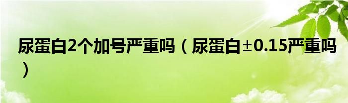 尿蛋白2个加号严重吗（尿蛋白±0.15严重吗）