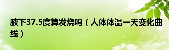 腋下37.5度算发烧吗（人体体温一天变化曲线）