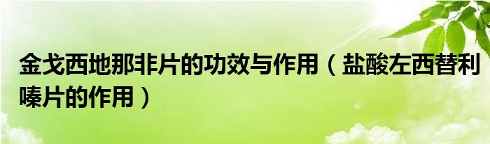 金戈西地那非片的功效与作用（盐酸左西替利嗪片的作用）