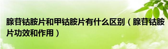 腺苷钴胺片和甲钴胺片有什么区别（腺苷钴胺片功效和作用）