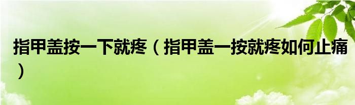 指甲盖按一下就疼（指甲盖一按就疼如何止痛）