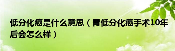 低分化癌是什么意思（胃低分化癌手术10年后会怎么样）