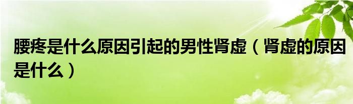 腰疼是什么原因引起的男性肾虚（肾虚的原因是什么）