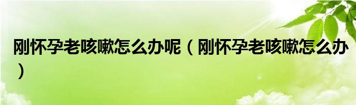 刚怀孕老咳嗽怎么办呢（刚怀孕老咳嗽怎么办）