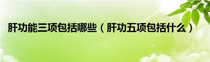 肝功能三项包括哪些（肝功五项包括什么）