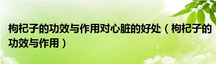 枸杞子的功效与作用对心脏的好处（枸杞子的功效与作用）