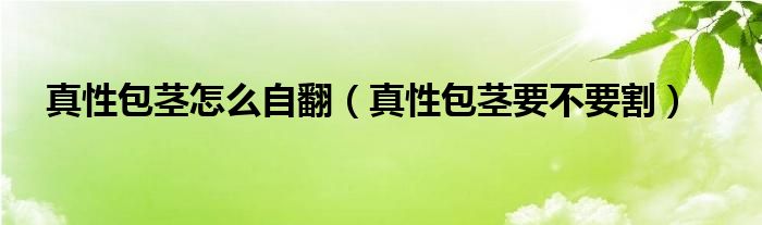 真性包茎怎么自翻（真性包茎要不要割）