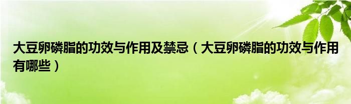 大豆卵磷脂的功效与作用及禁忌（大豆卵磷脂的功效与作用有哪些）