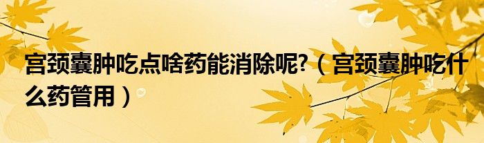 宫颈囊肿吃点啥药能消除呢?（宫颈囊肿吃什么药管用）