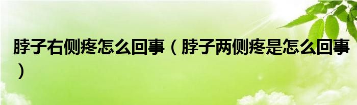 脖子右侧疼怎么回事（脖子两侧疼是怎么回事）