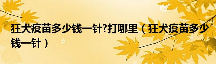 狂犬疫苗多少钱一针?打哪里（狂犬疫苗多少钱一针）