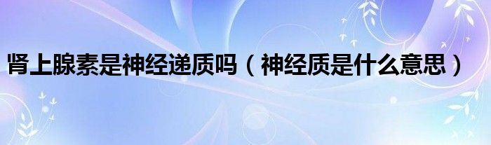 肾上腺素是神经递质吗（神经质是什么意思）