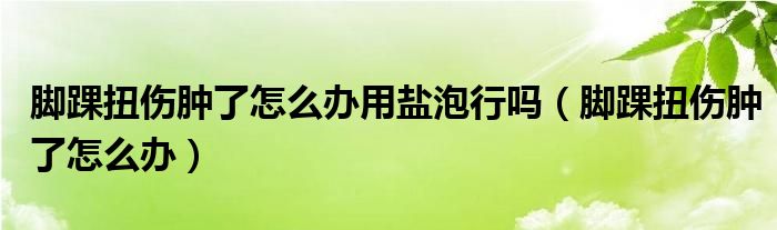 脚踝扭伤肿了怎么办用盐泡行吗（脚踝扭伤肿了怎么办）