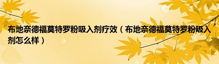 布地奈德福莫特罗粉吸入剂疗效（布地奈德福莫特罗粉吸入剂怎么样）