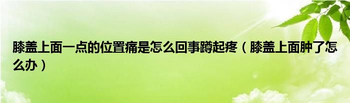 膝盖上面一点的位置痛是怎么回事蹲起疼（膝盖上面肿了怎么办）