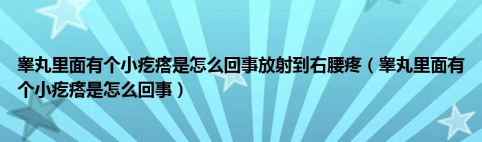 睾丸里面有个小疙瘩是怎么回事放射到右腰疼（睾丸里面有个小疙瘩是怎么回事）