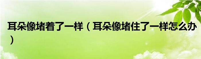 耳朵像堵着了一样（耳朵像堵住了一样怎么办）