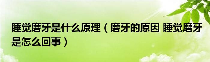 睡觉磨牙是什么原理（磨牙的原因 睡觉磨牙是怎么回事）