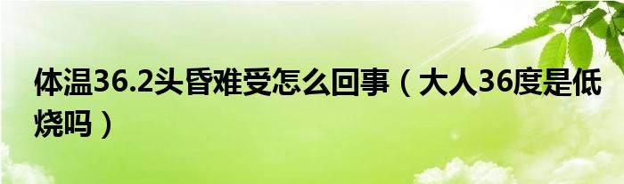 体温36.2头昏难受怎么回事（大人36度是低烧吗）