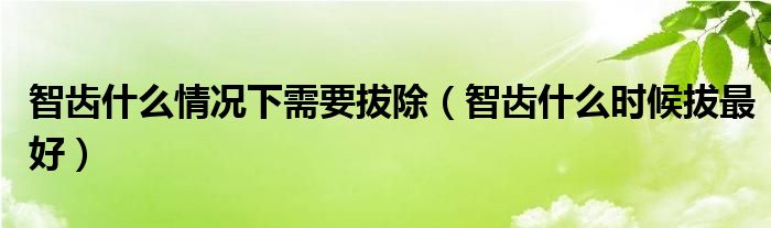 智齿什么情况下需要拔除（智齿什么时候拔最好）