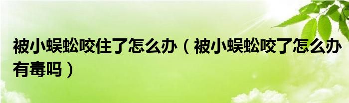 被小蜈蚣咬住了怎么办（被小蜈蚣咬了怎么办有毒吗）