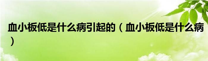 血小板低是什么病引起的（血小板低是什么病）