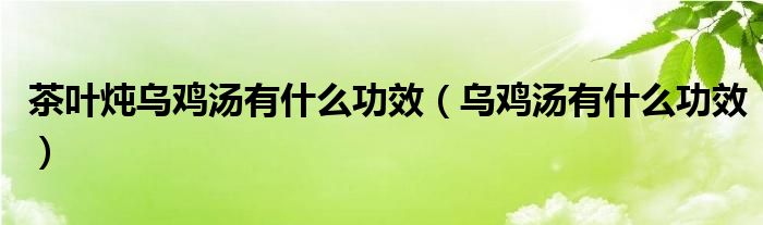 茶叶炖乌鸡汤有什么功效（乌鸡汤有什么功效）