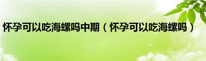 怀孕可以吃海螺吗中期（怀孕可以吃海螺吗）