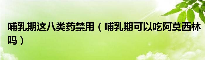 哺乳期这八类药禁用（哺乳期可以吃阿莫西林吗）