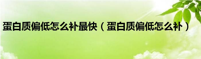 蛋白质偏低怎么补最快（蛋白质偏低怎么补）