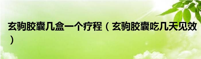 玄驹胶囊几盒一个疗程（玄驹胶囊吃几天见效）