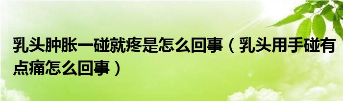 乳头肿胀一碰就疼是怎么回事（乳头用手碰有点痛怎么回事）