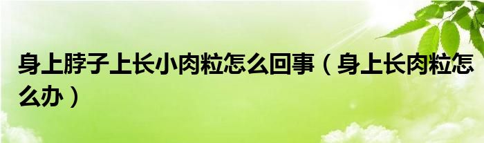 身上脖子上长小肉粒怎么回事（身上长肉粒怎么办）