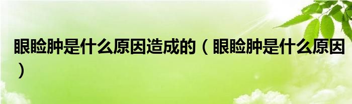 眼睑肿是什么原因造成的（眼睑肿是什么原因）