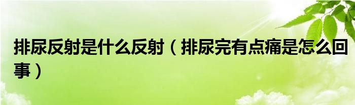 排尿反射是什么反射（排尿完有点痛是怎么回事）