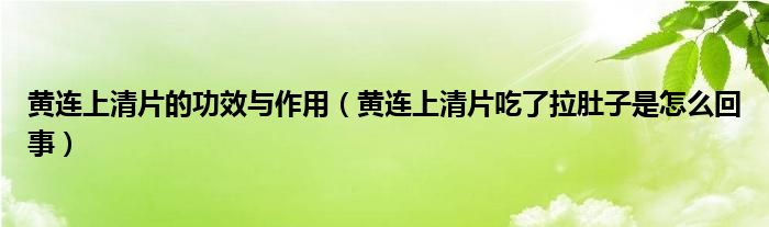 黄连上清片的功效与作用（黄连上清片吃了拉肚子是怎么回事）