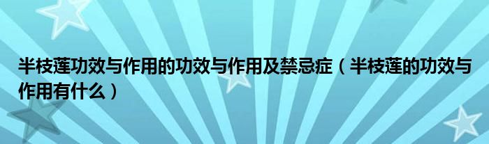 半枝莲功效与作用的功效与作用及禁忌症（半枝莲的功效与作用有什么）