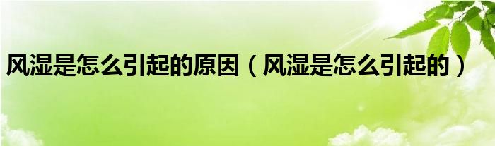 风湿是怎么引起的原因（风湿是怎么引起的）