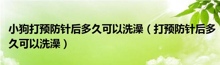 小狗打预防针后多久可以洗澡（打预防针后多久可以洗澡）